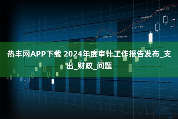 热丰网APP下载 2024年度审计工作报告发布_支出_财政_问题