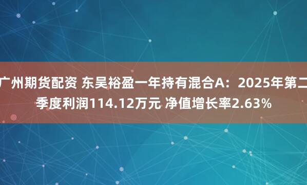 广州期货配资 东吴裕盈一年持有混合A：2025年第二季度利润114.12万元 净值增长率2.63%