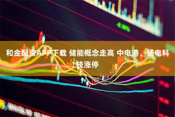 和金配资APP下载 储能概念走高 中电港、扬电科技涨停