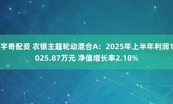 宇奇配资 农银主题轮动混合A：2025年上半年利润1025.87万元 净值增长率2.18%