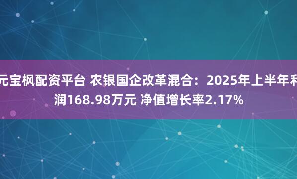 元宝枫配资平台 农银国企改革混合：2025年上半年利润168.98万元 净值增长率2.17%