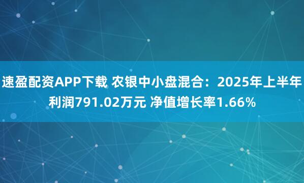 速盈配资APP下载 农银中小盘混合：2025年上半年利润791.02万元 净值增长率1.66%