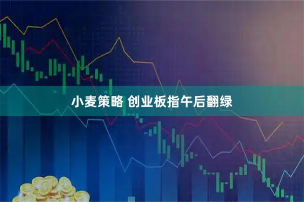 小麦策略 创业板指午后翻绿